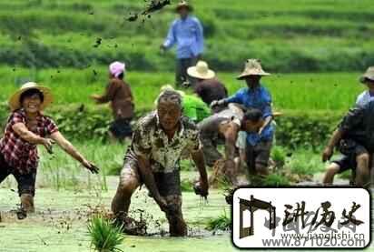土家族文化土家族的农耕文化历史悠久