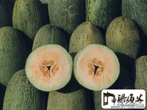 以瓜代茶的维吾尔族习俗