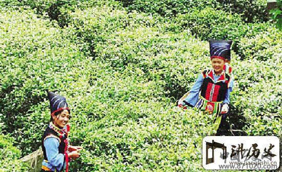 布朗族：中国云南及东南亚地区最早的世居民族