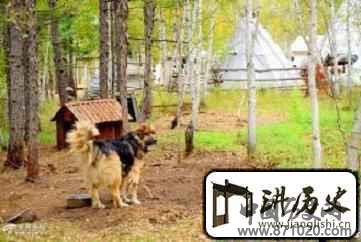 鄂温克族习俗鄂温克人狩猎禁忌有哪些