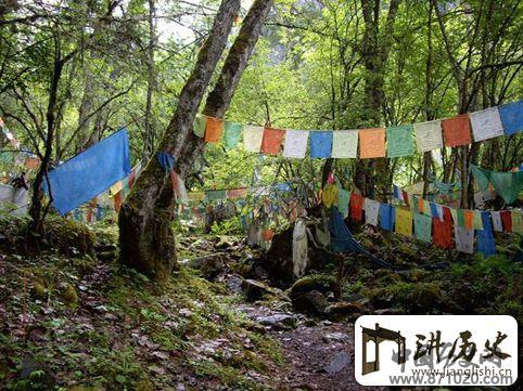 探秘藏族神秘树葬区
