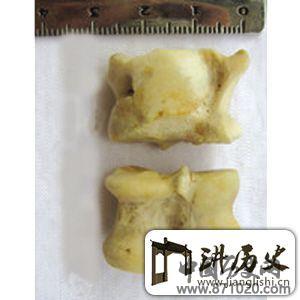 游戏千年髀石传奇