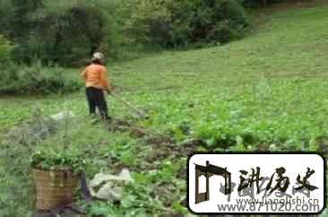普米族历史普米族是怎样实行土地流转的
