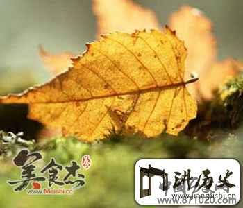 白露养生：饮食进补注意养肺