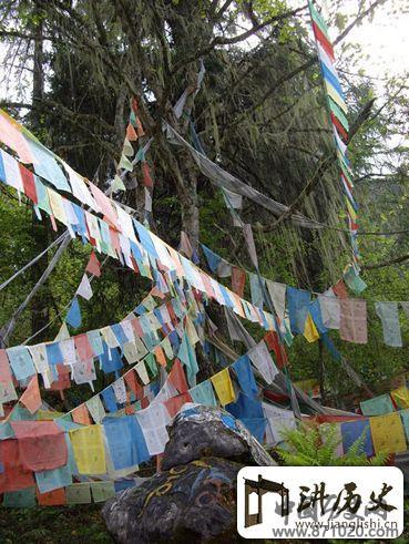 探秘藏族神秘树葬区