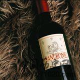 雄狮城堡(castellosonnino)葡萄酒-酒知识，酒文化，酒品评，酒友家园！-闻酒知香