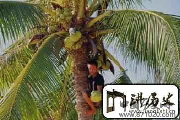 黎族与吃有关的食物是啥？又有何历史由来