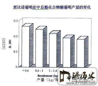 影响红葡萄酒品质的主要因素-酒知识，酒文化，酒品评，酒友家园！-闻酒知香