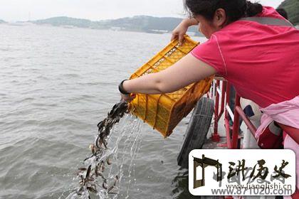 放生泥鳅的好处放生泥鳅的功德