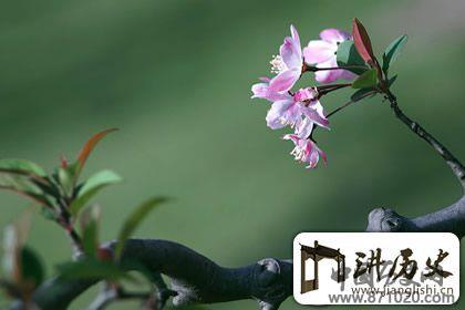 春分是哪一天，2018年春分时间