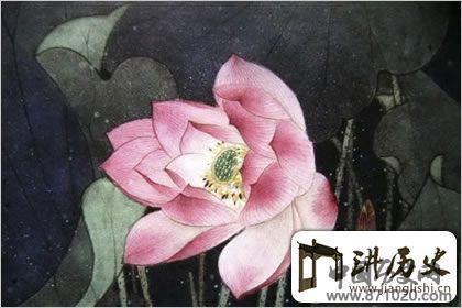 佛教象征物，佛教莲花图片大全