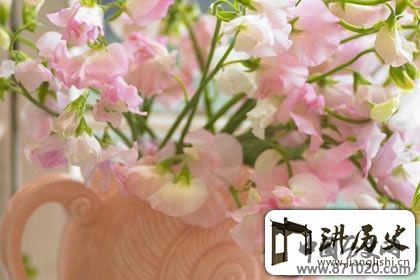一花一世界，禅语感悟人生的句子赏析