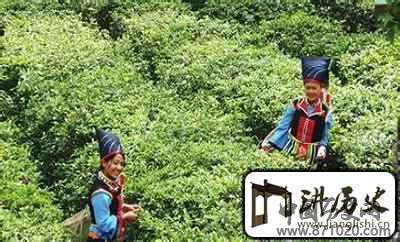 布朗族历史“沧江怒水”之间的布朗族