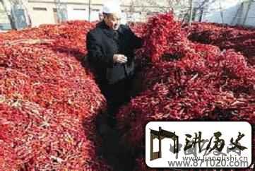 撒拉族饮食撒拉族最具特色的民族特产