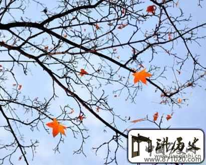 立冬和入冬是怎么回事