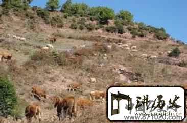 普米族历史普米族畜牧业是怎样发展的