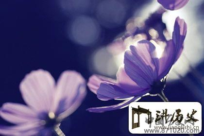 禅语典故推荐，用典故参透佛家道理