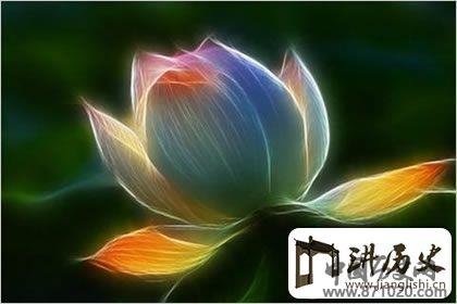 佛教象征物，佛教莲花图片大全