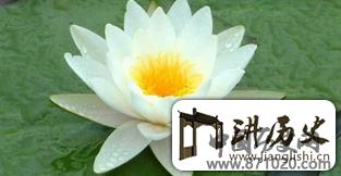 佛教丧葬文化有哪些_佛教丧葬文化大全