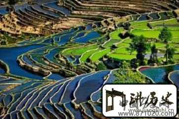 揭秘:元阳哈尼族的梯田究竟有多迷人