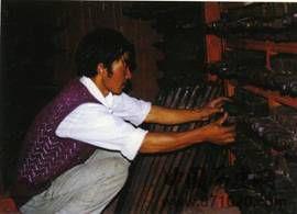 德格印经院——中国雕版印刷的活化石