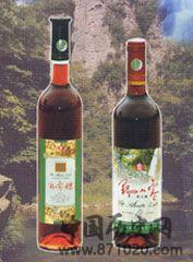 枣酒及其制作-酒知识，酒文化，酒品评，酒友家园！-闻酒知香