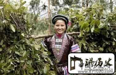 瑶族的养生文化瑶族人平常是怎么养生的