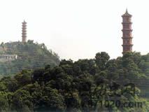 浙江平阳宝胜寺双塔