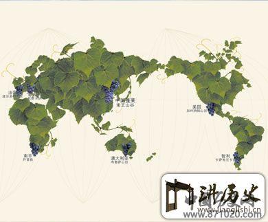 世界七大酿酒葡萄海岸介绍-酒知识，酒文化，酒品评，酒友家园！-闻酒知香