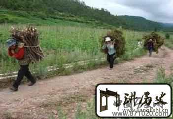 普米族农业普米族农业发展史简介