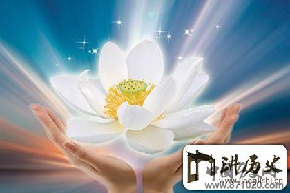 佛教象征物，佛教莲花图片大全