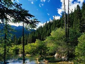 世界自然遗产：九寨沟风景名胜区