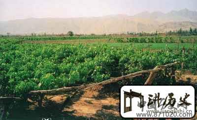 新疆－概览
