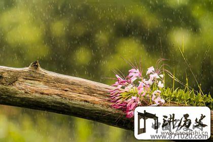 雨水是哪一天，2018年雨水时间