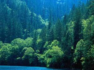 世界自然遗产：九寨沟风景名胜区