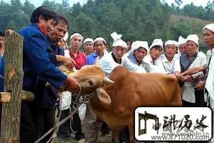 布依族民俗布依族的丧葬有什么风俗特点