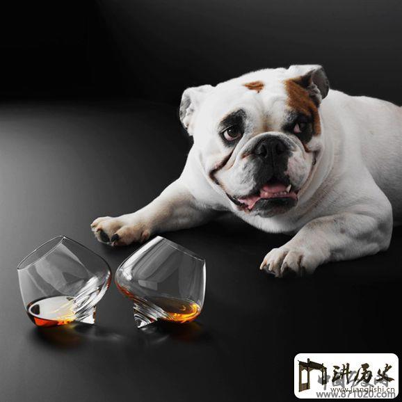 形似陀螺的白兰地酒杯-酒知识，酒文化，酒品评，酒友家园！-闻酒知香