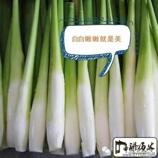 七里香=鸡屁股？脑洞大开的台湾词