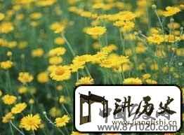 重阳节的起源与来历