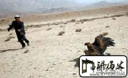 柯尔克孜族文化柯尔克孜族的驯鹰习俗简介