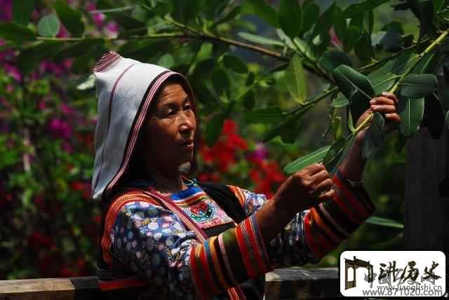 基诺族最美的风景在哪介绍基诺族的名胜古迹
