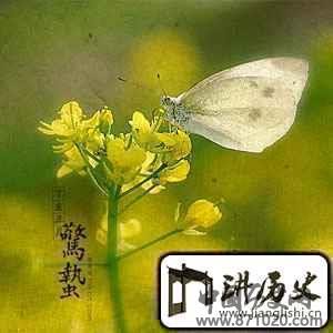 惊蛰养生二十四节气之惊蛰养生篇