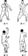 花拳攻击特点