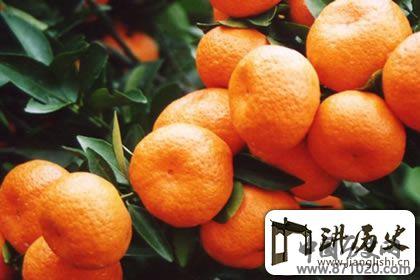 仙气缭绕下的仙山：武当山特产有哪些