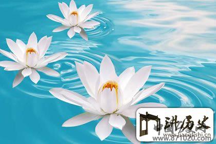 佛教象征物，佛教莲花图片大全