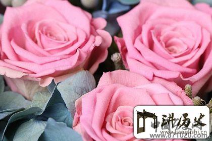 禅语典故推荐，用典故参透佛家道理