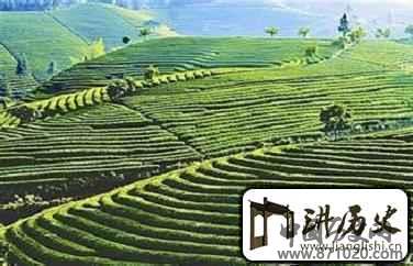 汉族历史汉族农业发展史简介