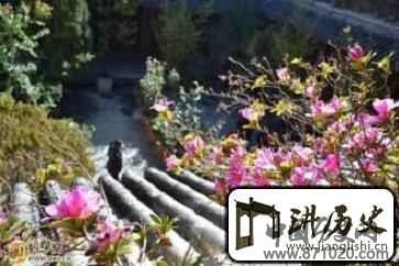 为什么说白族与花有着很深厚的情谊