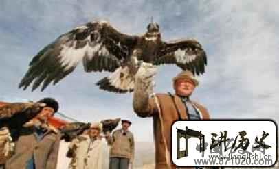 柯尔克孜族文化柯尔克孜族是怎样养鹰的