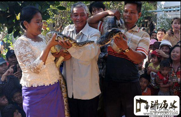 柬埔寨村落为蟒蛇举行婚礼